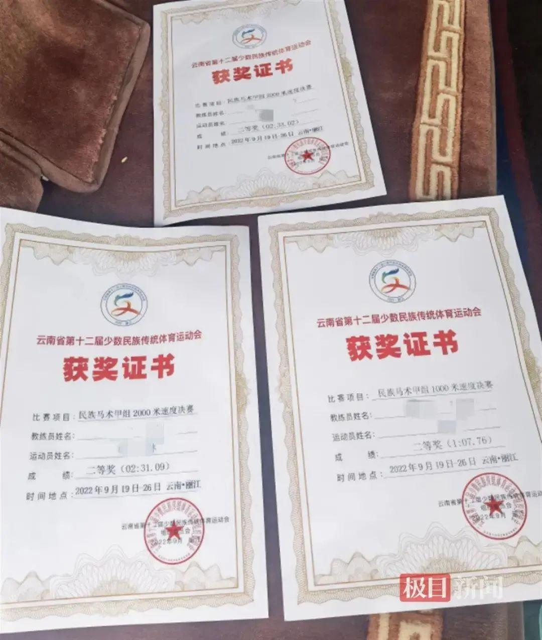 马能活多少年(现在一匹马多少钱)