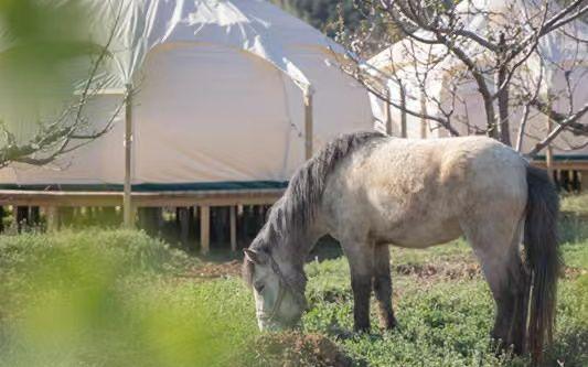 国庆去哪里玩比较合适，国庆去哪里玩比较合适带娃娃（京郊这些地方值得一去）