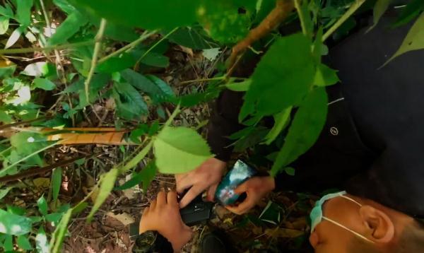 口加个关子叫什么，卖关子的关子是什么意思（把佩枪交给了他……）