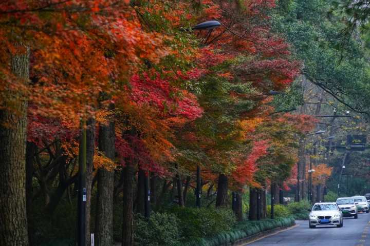 杭州东到西湖(黄龙洞到西湖风景区怎么走)