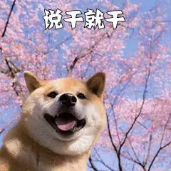 广州好玩的地方，广州有什么好玩的地方一日游（广州天河国庆假期11个必去打卡点）