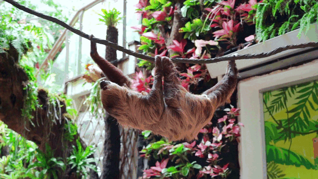 广州好玩的地方，广州有什么好玩的地方一日游（广州天河国庆假期11个必去打卡点）