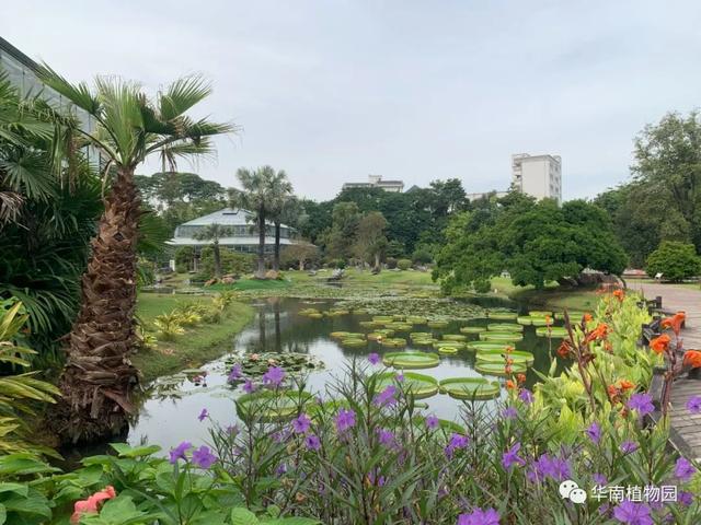 广州好玩的地方，广州有什么好玩的地方一日游（广州天河国庆假期11个必去打卡点）