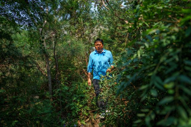 四大山是什么山，中国四大名山是什么（京郊老兵14年踏万里山路守护烈士墓）