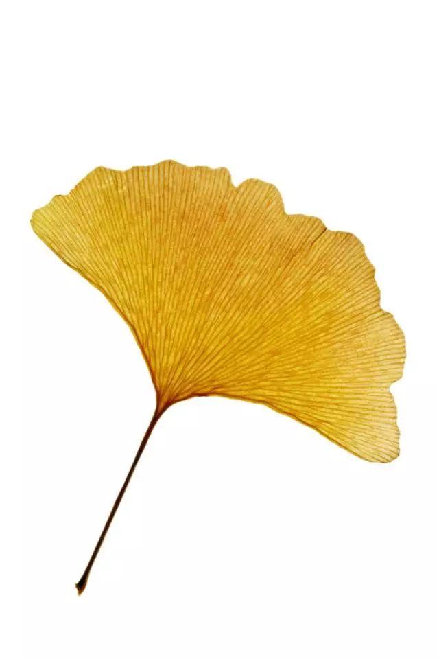 和秋天有关的成语，与秋天有关的成语（秋天，该用什么成语来描绘你）