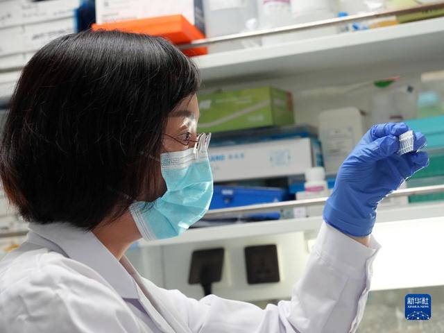 查询2022年农历八月初一黄道吉日 今天时辰宜忌凶吉，查询2022年农历八月初一黄道吉日（二十大代表风采丨陈玲玲）