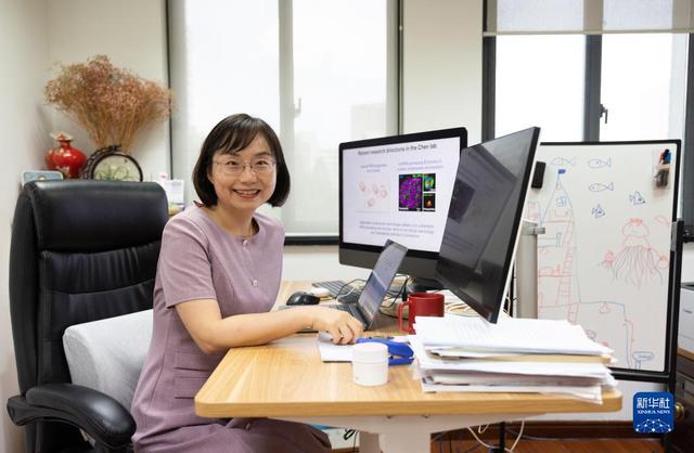 查询2022年农历八月初一黄道吉日 今天时辰宜忌凶吉，查询2022年农历八月初一黄道吉日（二十大代表风采丨陈玲玲）