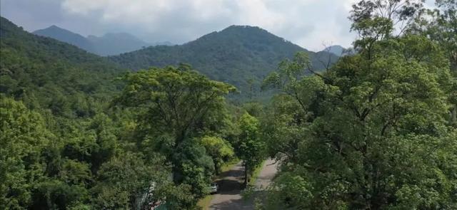 防城港市有哪些旅游景点呢，防城港市有哪些旅游景点呢自驾游（防城港这些景点安排上）