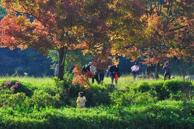防城港市有哪些旅游景点呢，防城港市有哪些旅游景点呢自驾游（防城港这些景点安排上）