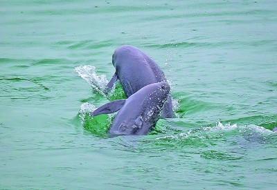 上海到南京多远，上海到南京开车要多久（万里长江奏响新时代澎湃乐章）