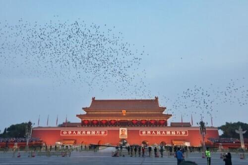 北京天安门在哪个区，天安门属哪个区（这是今早的天安门广场）