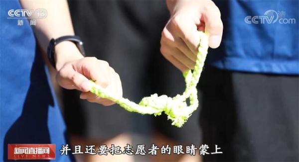 形容马奔跑的成语，一群马在奔跑的成语（70枚马拉松奖牌见证我最好的年华）