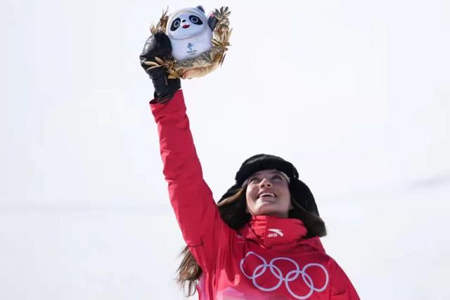 雪容融和冰墩墩，冰墩墩和雪容融是什么（“冰墩墩”“雪容融”还要一起向未来）