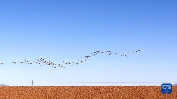 100kw用多大的电缆，100kw380v用多大电缆（生态黄河 幸福家园）