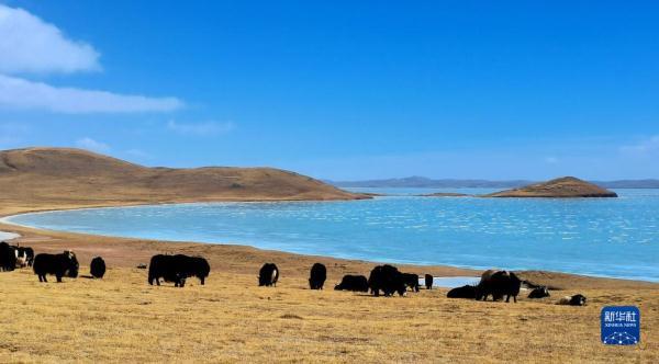 100kw用多大的电缆，100kw380v用多大电缆（生态黄河 幸福家园）