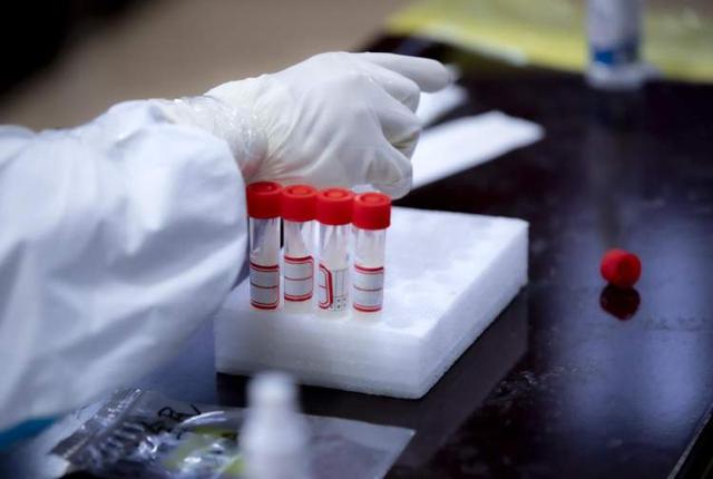 归途24小时攻略，归途24小时攻略结局（国庆节首日上海最高温31.8℃；上海金融街现代城市综合体预计年底开放；中国女篮夺得世界杯亚军）