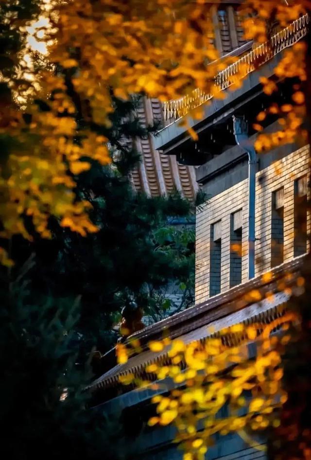 长春旅游景点，长春旅游景点免费门票的地方（长春两处5A级景区实力上榜）