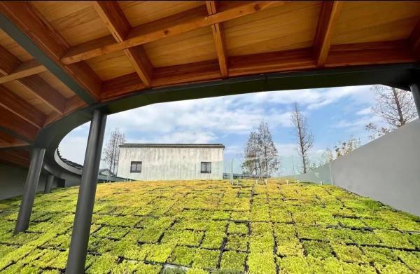 上海周边好玩的地方，上海周边有什么好玩的地方（街头“考古”、稻田打卡、高空营地看夜景……上海国庆假期小众玩法多）