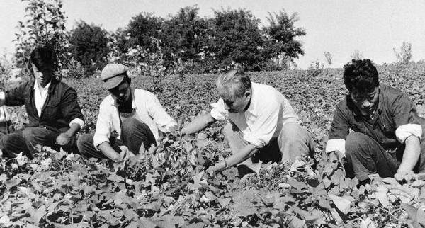 4月8日是什么节日，四月八日是什么节日（“不要以为你是国家主席的亲戚就可以搞特殊”）