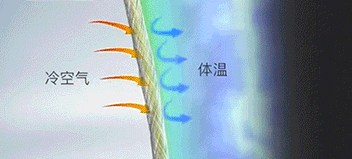 显高显瘦哈伦老爹裤，一条保暖显瘦の哈伦老爹裤