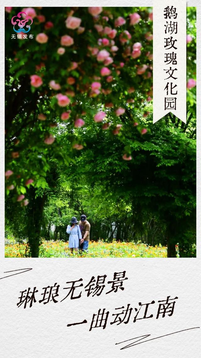 无锡锡山附近景点，这就是，锡山！