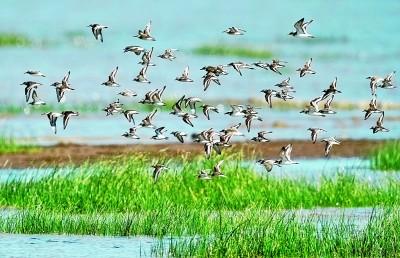 珠江在哪个城市，珠江在哪里（珠江、闽江：汤汤清水润南天）