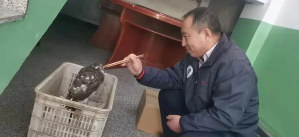 石家庄二十三中，石家庄二十三中2019高考喜报成绩、本一本二上线人数情况（石家庄市野生动物救护站收治了12只受伤鸟类）