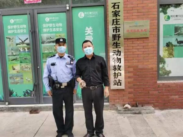 石家庄二十三中，石家庄二十三中2019高考喜报成绩、本一本二上线人数情况（石家庄市野生动物救护站收治了12只受伤鸟类）