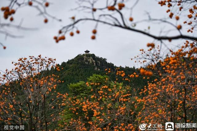 青州云门山风景区旅游攻略，青州云门山风景区门票价格（云门山风景区秋高气爽景色宜人）