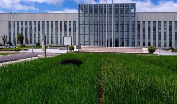 00公斤等于多少吨(500公斤钢筋等于多少吨)"