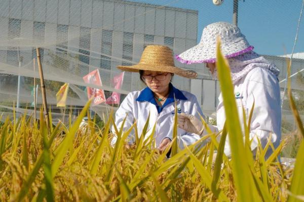 00公斤等于多少吨(500公斤钢筋等于多少吨)"