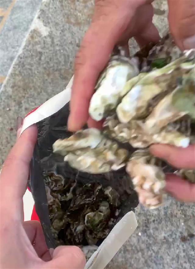 赶海是在涨潮还是退潮，赶海是涨潮去还是退潮去（有人连夜开车200公里赶海）