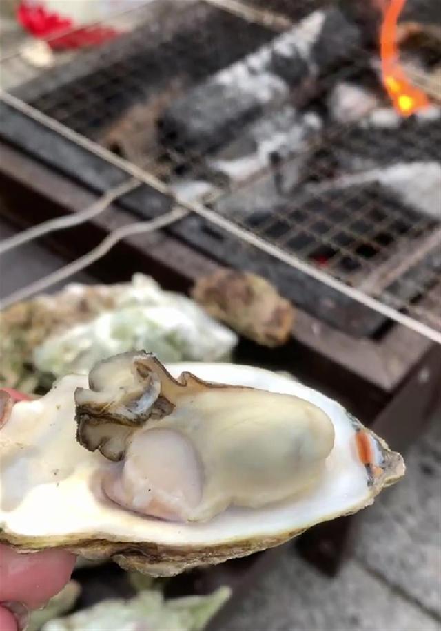 赶海是在涨潮还是退潮，赶海是涨潮去还是退潮去（有人连夜开车200公里赶海）
