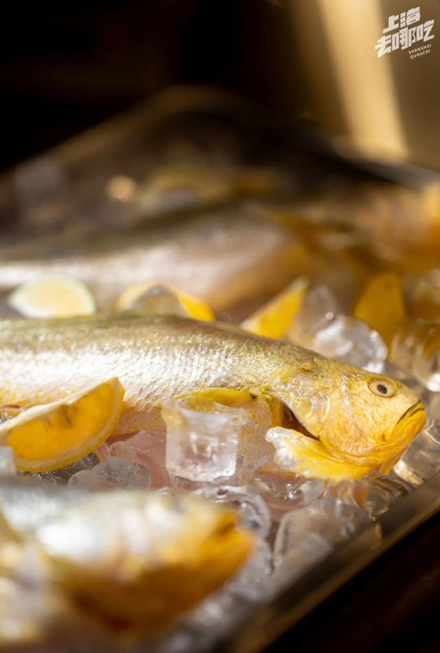 上海最好吃的烧烤，魔都新晋潮玩social地