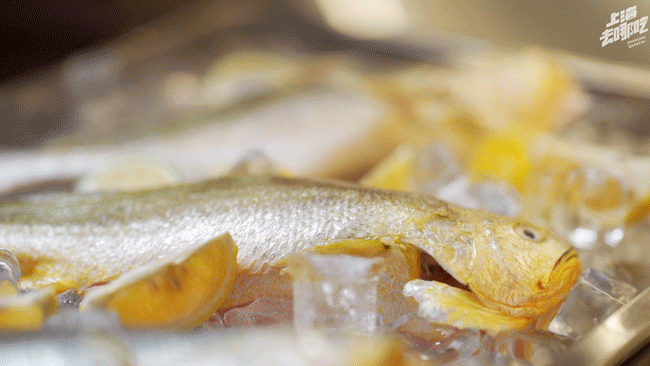 上海最好吃的烧烤，魔都新晋潮玩social地