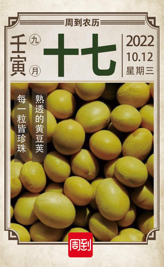 菽是指哪类农作物，菽是指哪类农作物稷（农历中国）