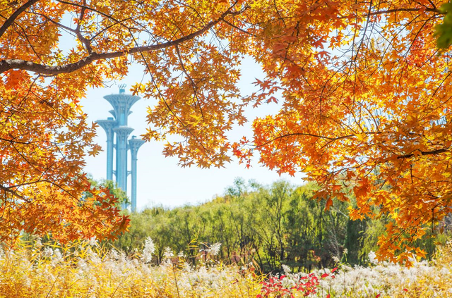 2022北京香山红叶最佳观赏时间，北京推出20处赏红片区