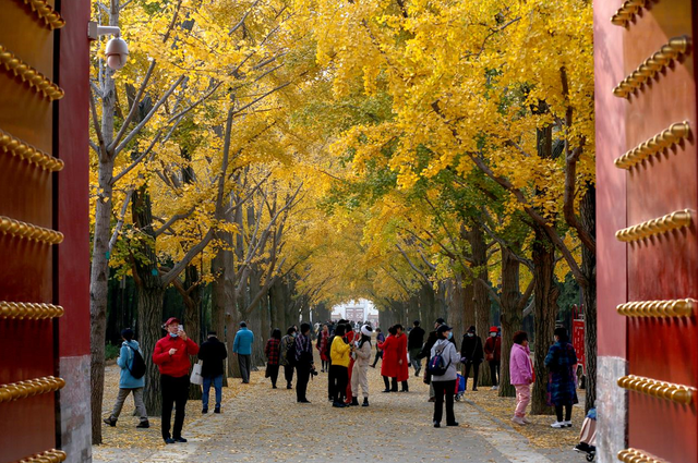 2022北京香山红叶最佳观赏时间，北京推出20处赏红片区