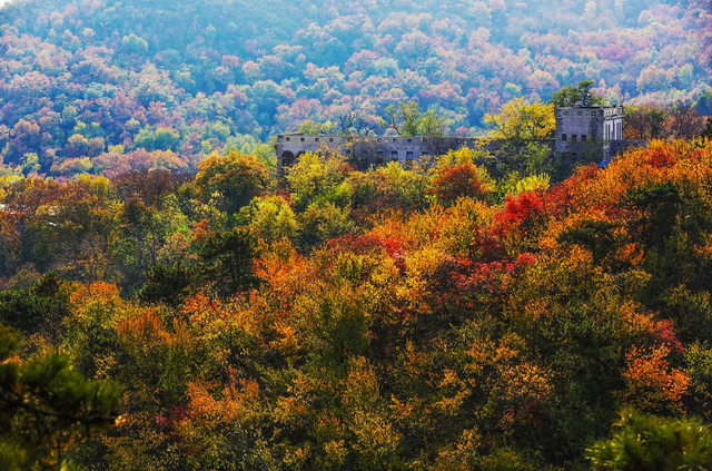 2022北京香山红叶最佳观赏时间，北京推出20处赏红片区