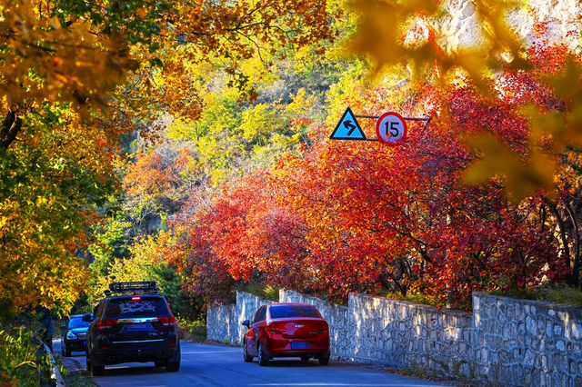 2022北京香山红叶最佳观赏时间，北京推出20处赏红片区