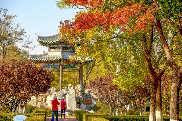 2022北京香山红叶最佳观赏时间，北京推出20处赏红片区