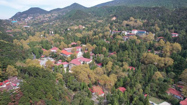 庐山最值得看的景点是哪里，庐山：梧桐叶黄秋色浓