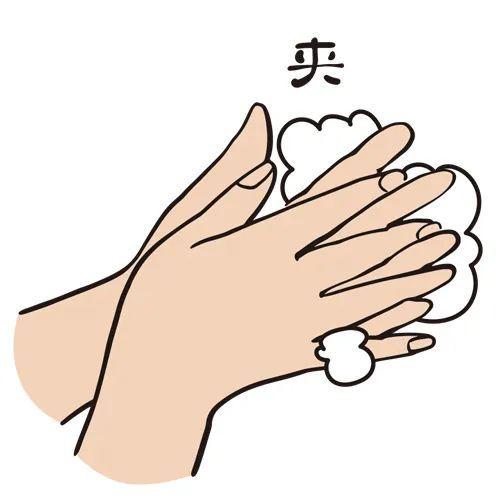 全球洗手日是哪一天，全球洗手日是哪一日（到底哪个才正宗）