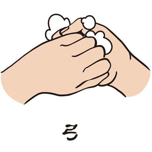 全球洗手日是哪一天，全球洗手日是哪一日（到底哪个才正宗）