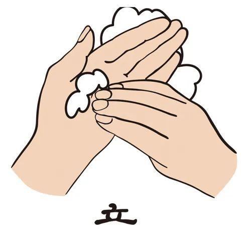 全球洗手日是哪一天，全球洗手日是哪一日（到底哪个才正宗）