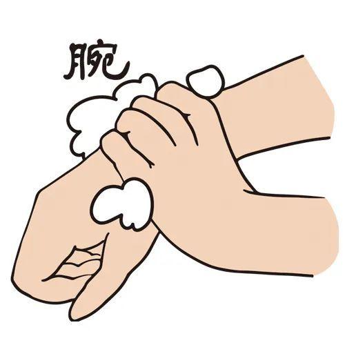 全球洗手日是哪一天，全球洗手日是哪一日（到底哪个才正宗）