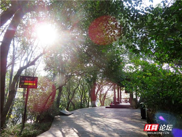 阅岁月之美，品君山秋色，这又是一处让人心动的地方
