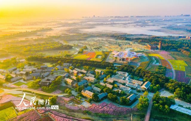 三台山森林公园，宿迁三台山的八大美景（三台山国家森林公园晨景如画）