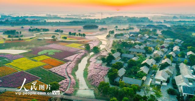 三台山森林公园，宿迁三台山的八大美景（三台山国家森林公园晨景如画）