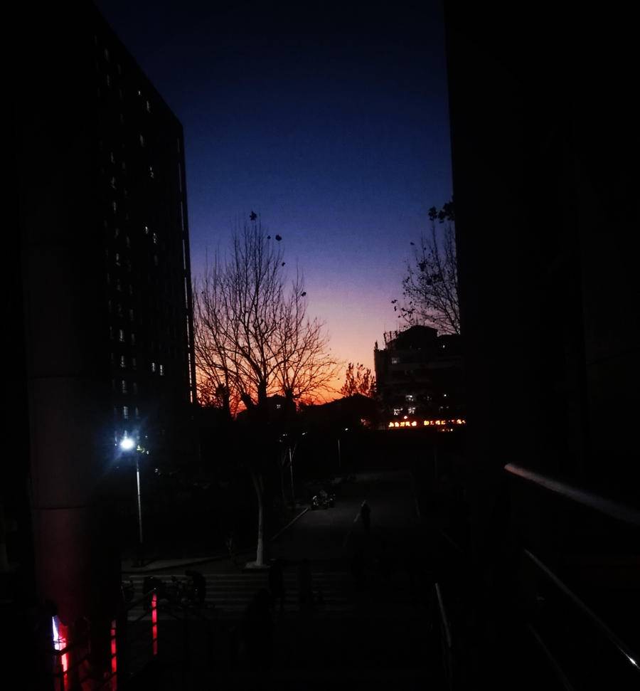 山大中心校区(山东大学中心校区官网)